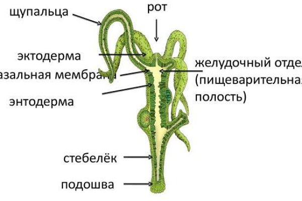 Замена омг сайта