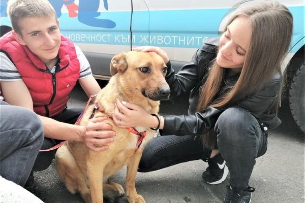 Зайти на сайт мега в обход блокировки