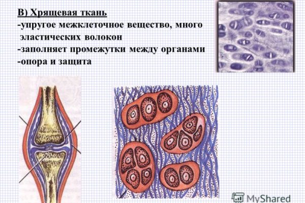 Mega магазин даркнет