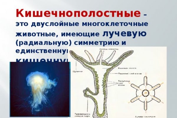 Как загрузить фото на мегу через андроид