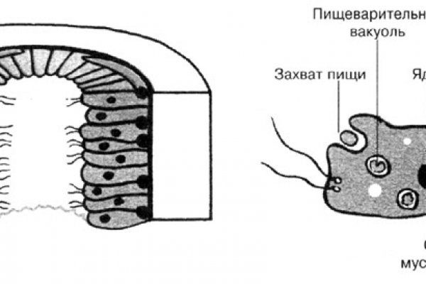 Омг онион магазин